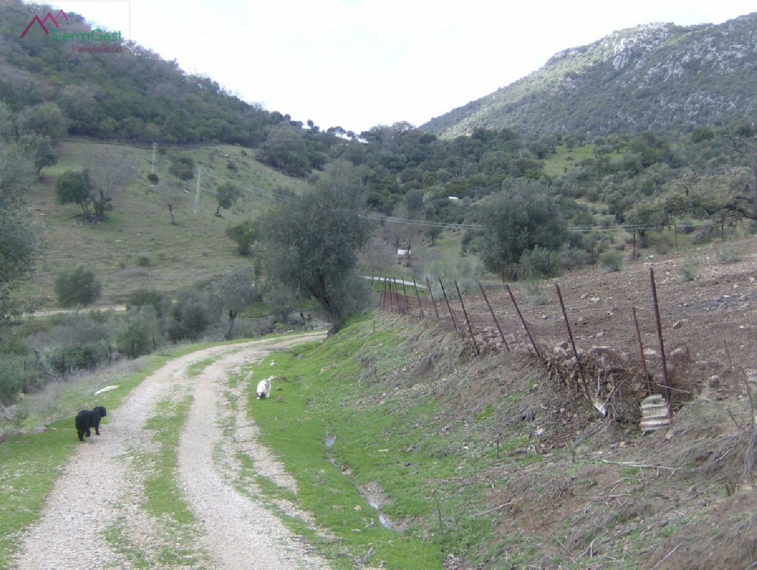 till salu tomt El Bosque Sierra De Cádiz 3