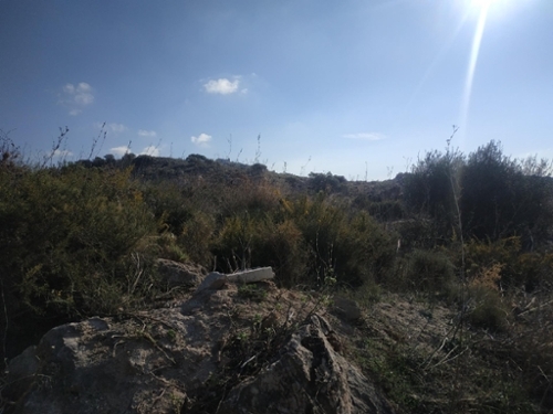 El Cañuelo Axarquía tomt foto 6235056