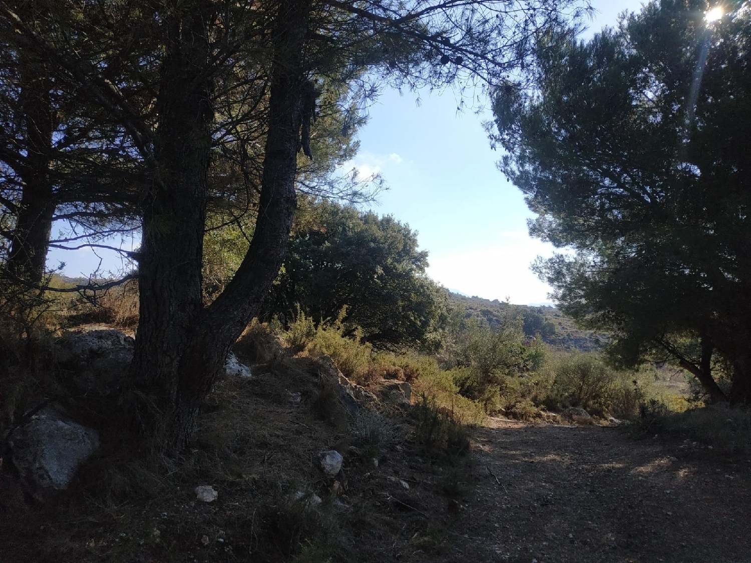 till salu tomt El Cañuelo Axarquía 2