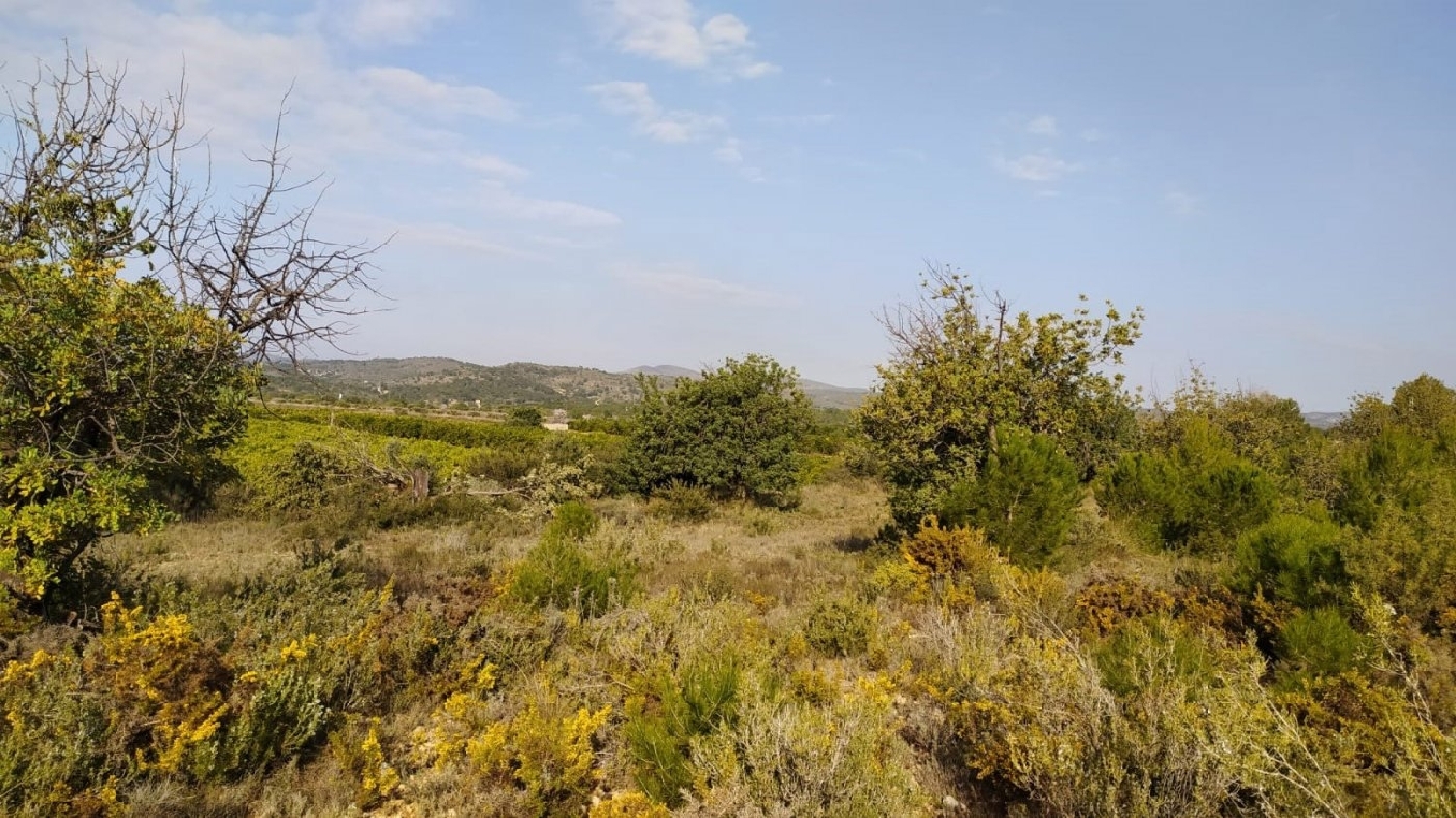 till salu tomt Oasi De Sant Vicent Camp De Túria 2