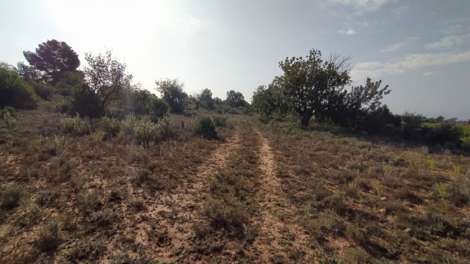 till salu tomt Oasi De Sant Vicent Camp De Túria 3