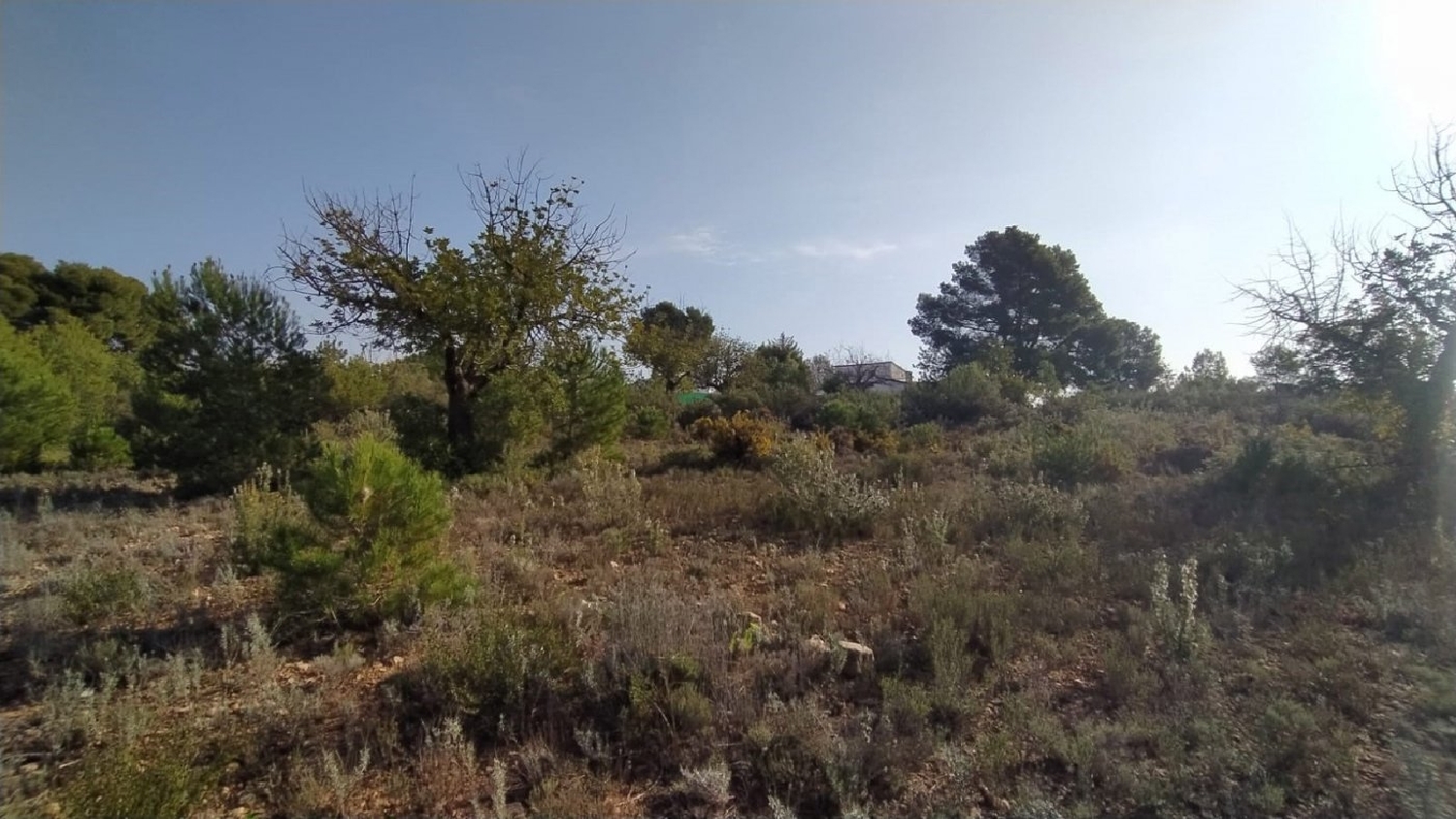  till salu tomt Oasi De Sant Vicent Camp De Túria 4