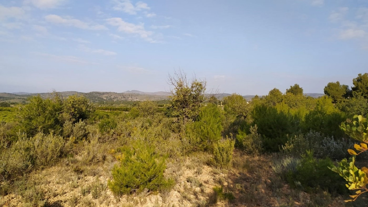  till salu tomt Oasi De Sant Vicent Camp De Túria 6