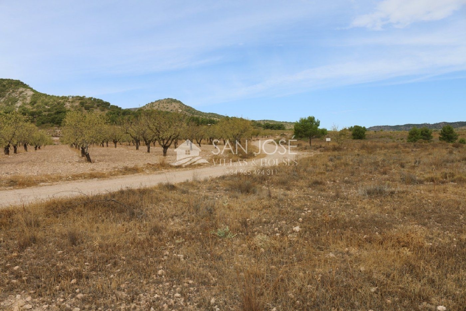  till salu tomt El Carche Altiplano 5