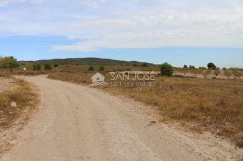 El Carche Altiplano tomt foto 6227241