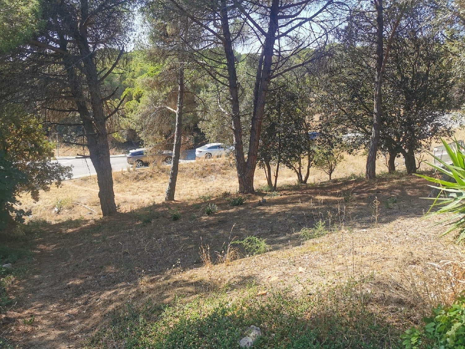  till salu tomt El Cassarell Maresme 6