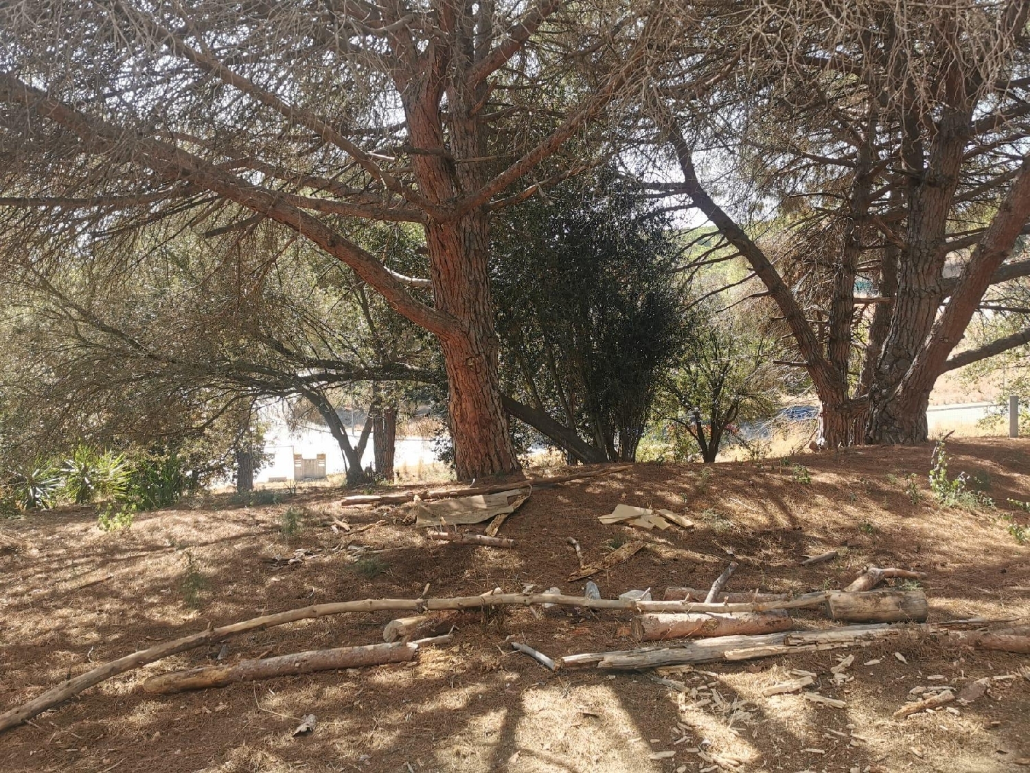  till salu tomt El Cassarell Maresme 7