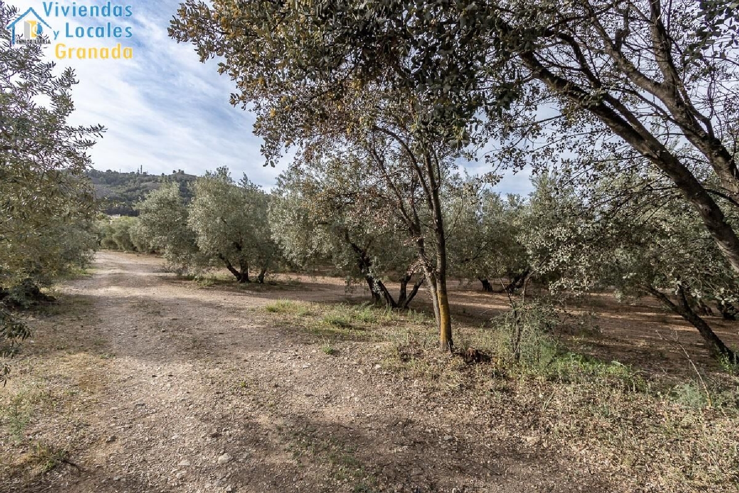  for sale plot Cortijo Del Aire Vega De Granada 5