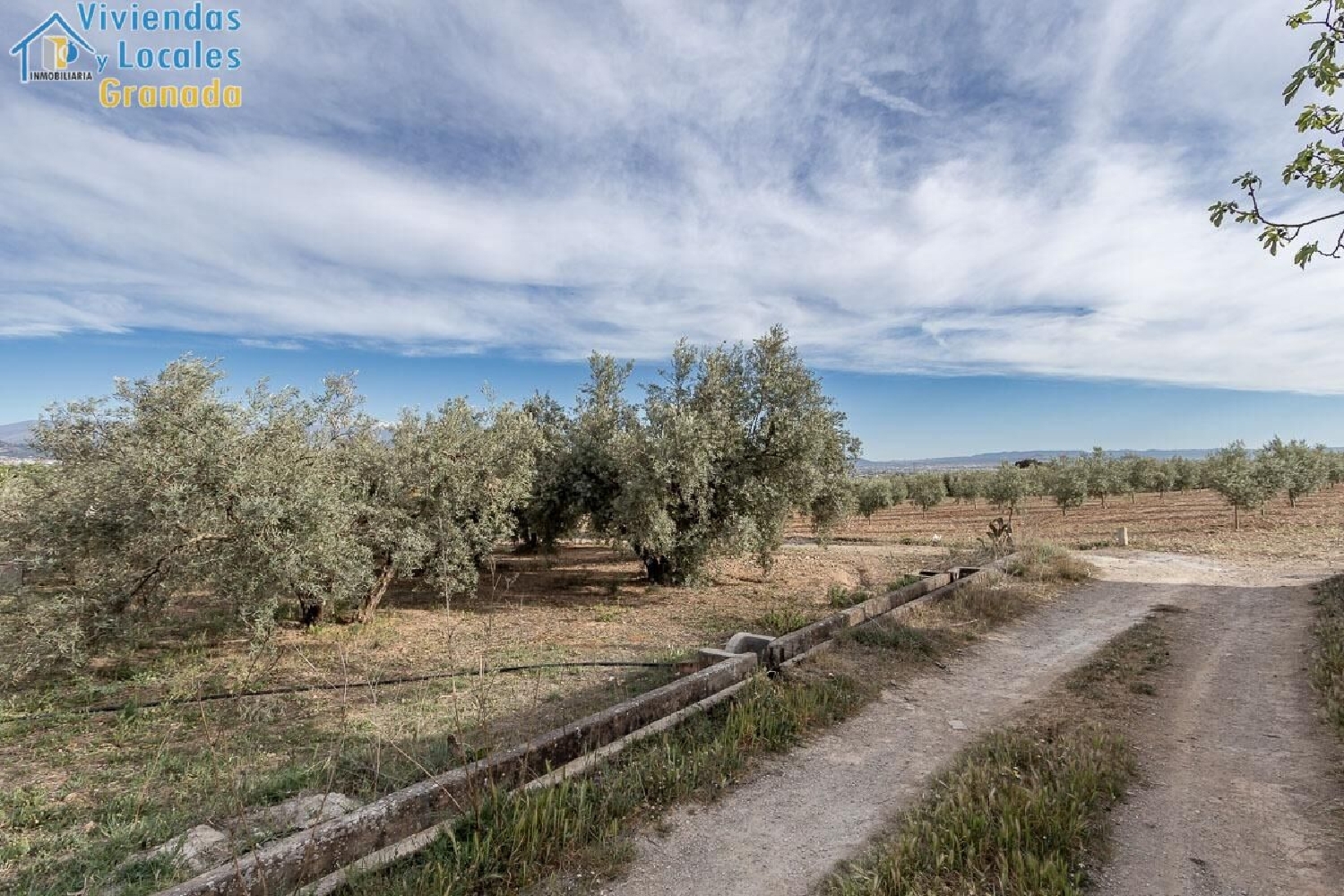  for sale plot Cortijo Del Aire Vega De Granada 4