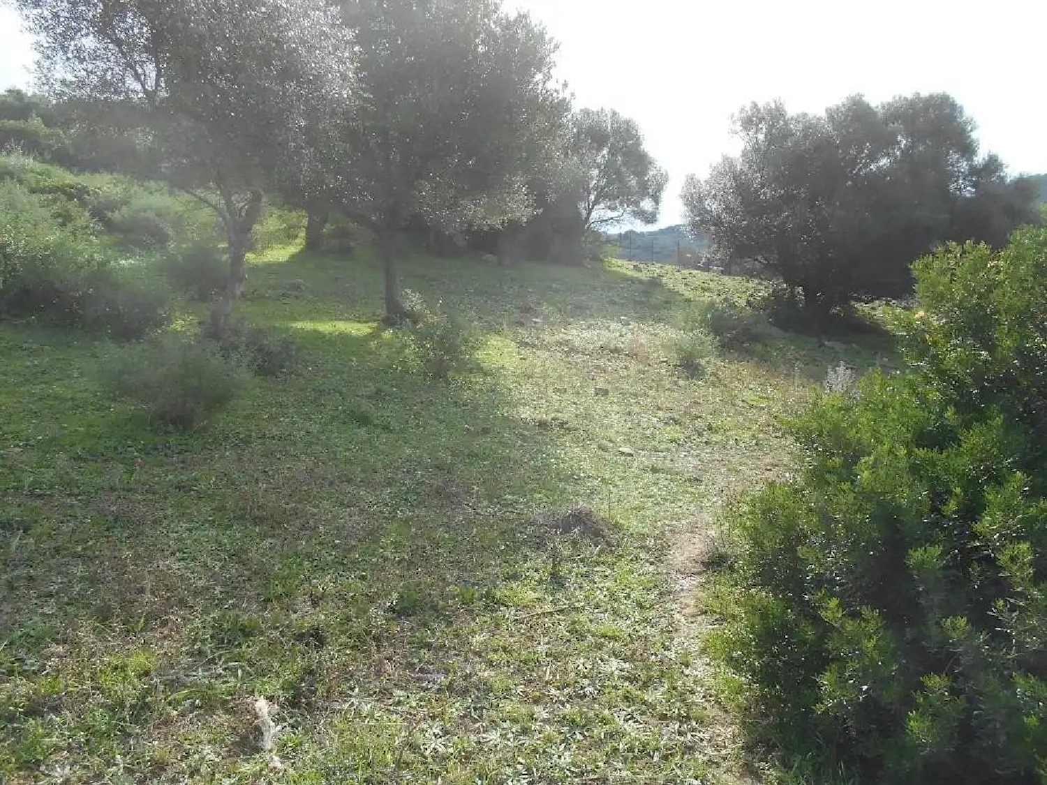  till salu tomt El Cuartón Campo De Gibraltar 5