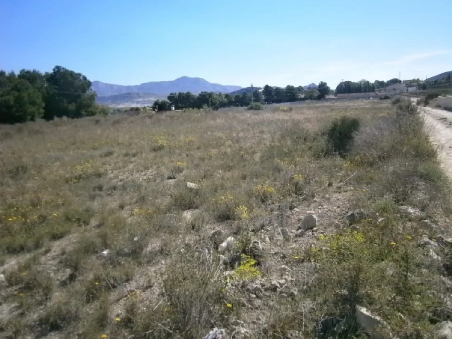 till salu tomt La Romaneta Vinalopó Mitjà 2