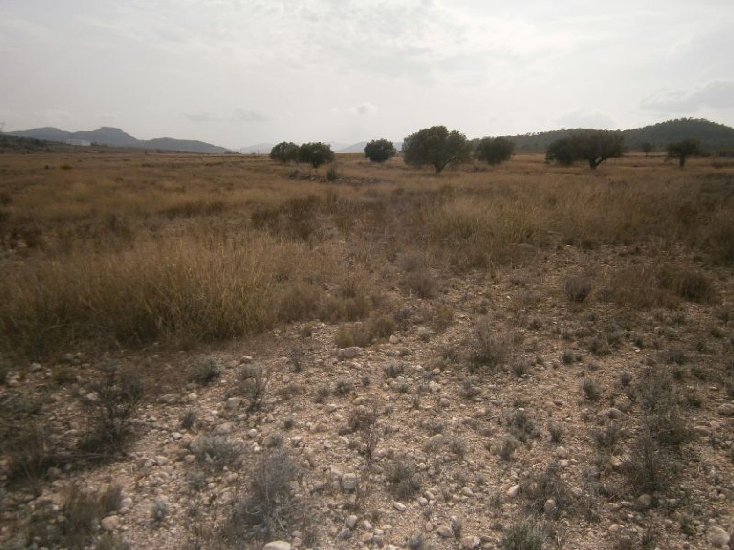  till salu tomt Cases De Sanchis Vinalopó Mitjà 5