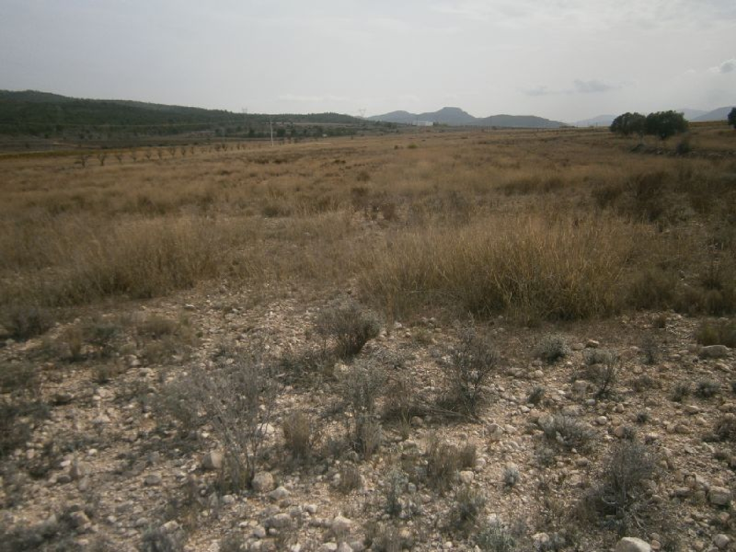  till salu tomt Cases De Sanchis Vinalopó Mitjà 4
