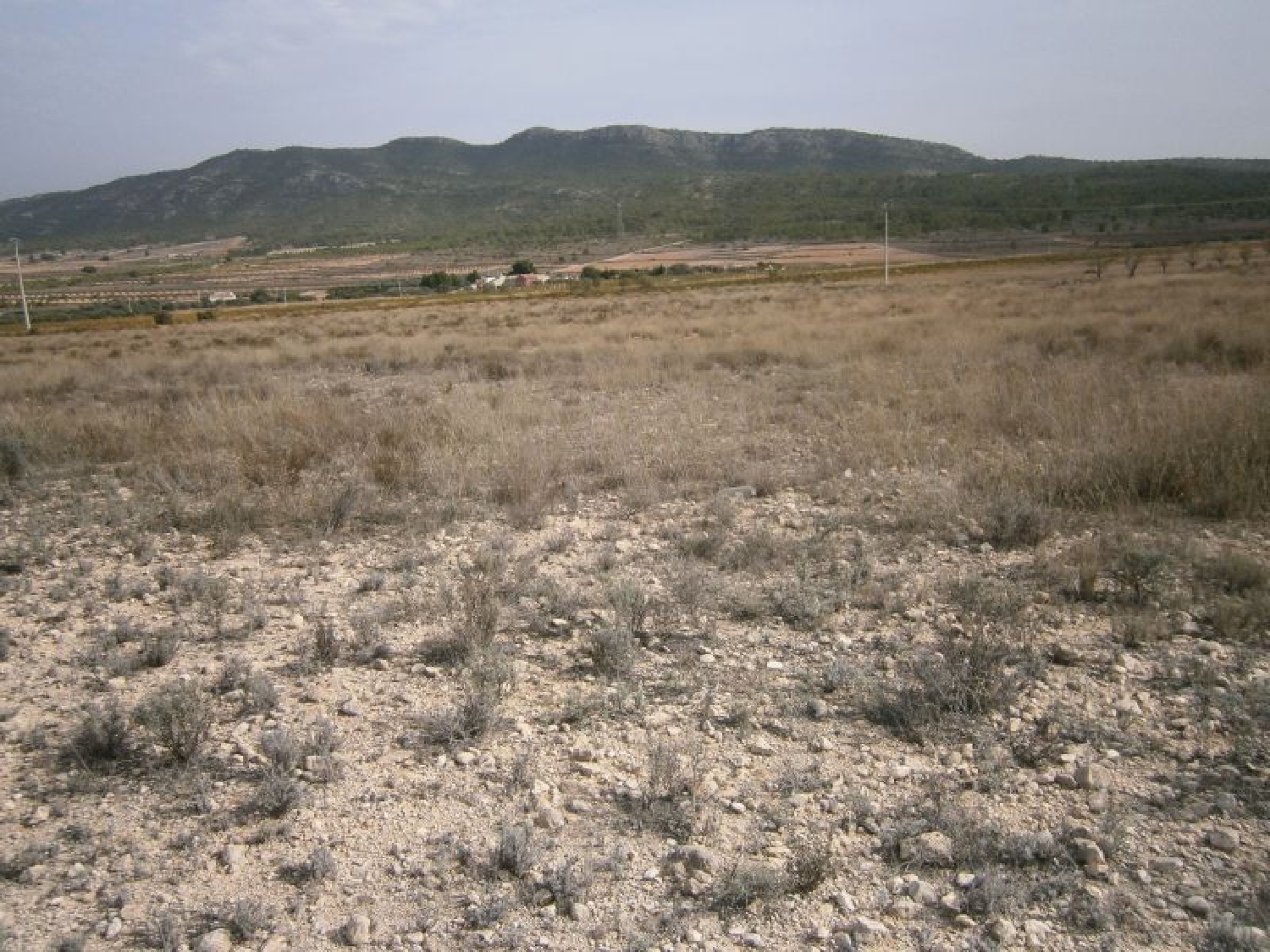 till salu tomt Cases De Sanchis Vinalopó Mitjà 2