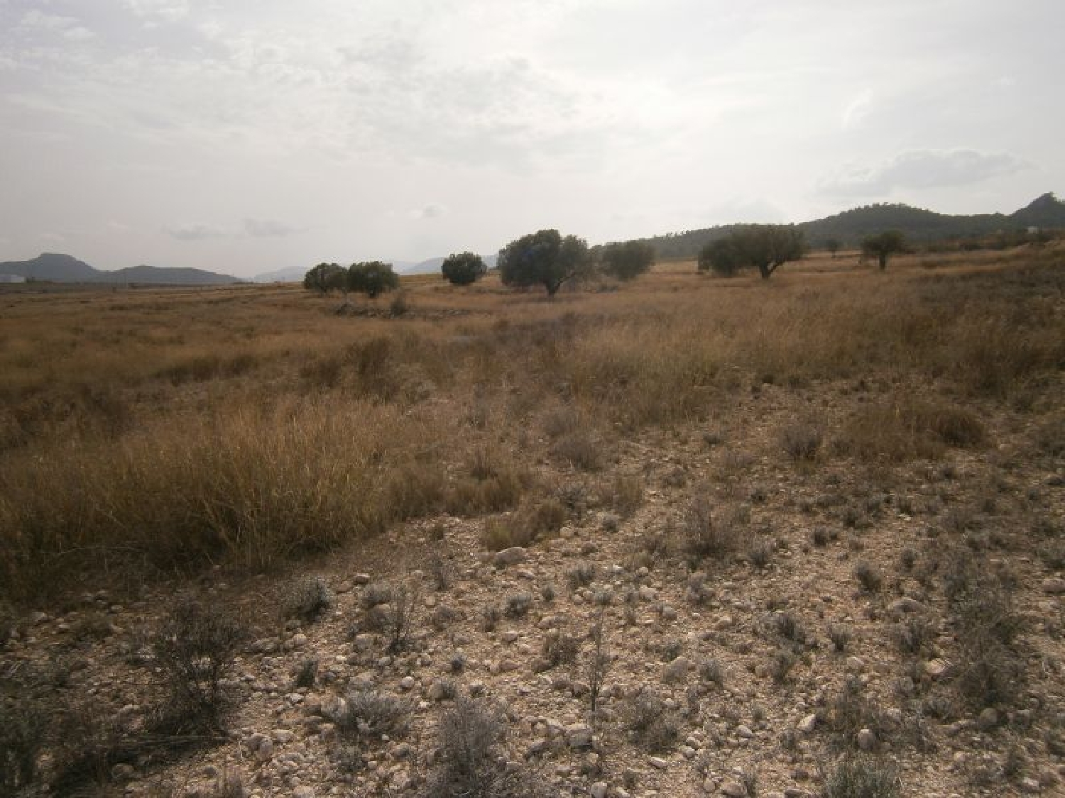  till salu tomt Cases De Sanchis Vinalopó Mitjà 1