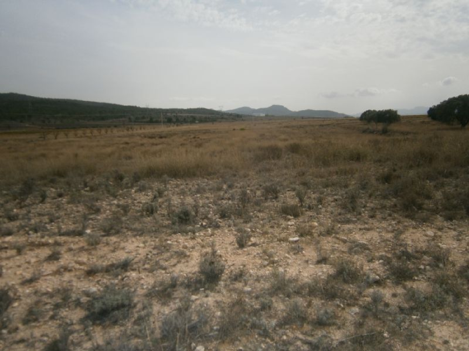  till salu tomt Cases De Sanchis Vinalopó Mitjà 6