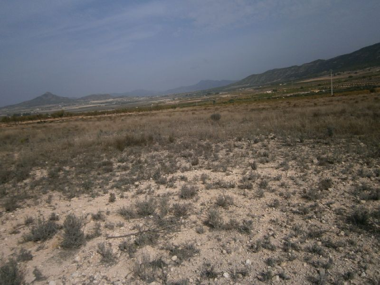 till salu tomt Cases De Sanchis Vinalopó Mitjà 3