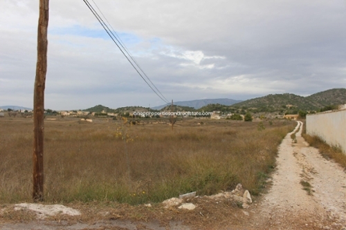 El Derramao Vinalopó Mitjà tomt foto 6260086