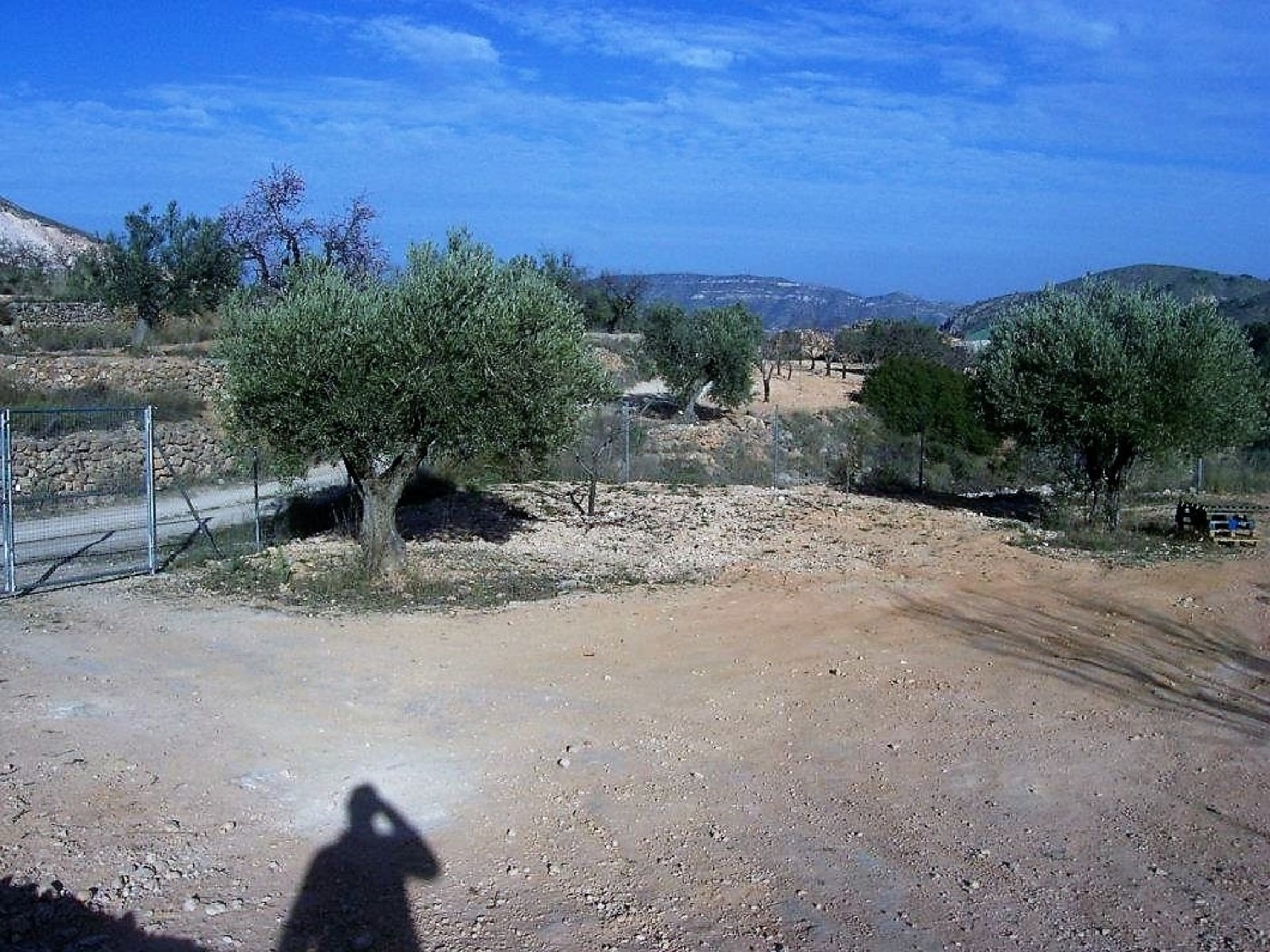  till salu tomt El Derramao Vinalopó Mitjà 8