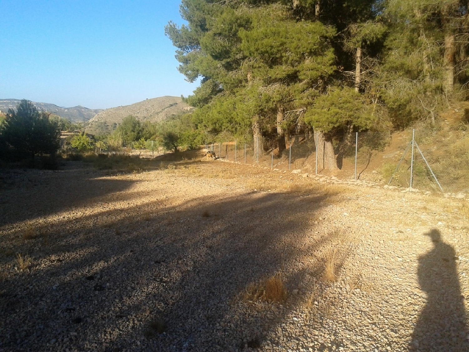 till salu tomt El Derramao Vinalopó Mitjà 2
