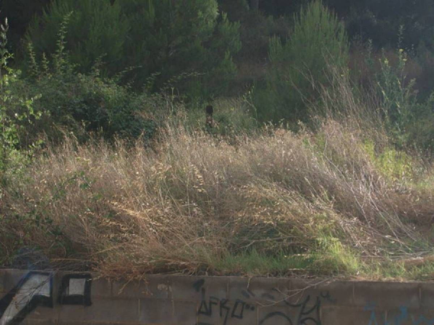 till salu tomt El Fusteret Bages 2