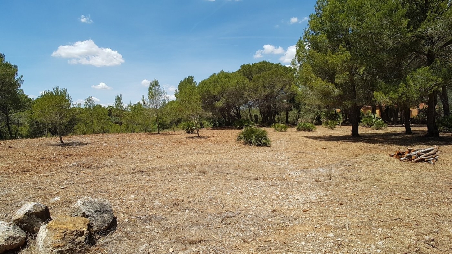  till salu tomt El Hidalgo Baix Ebre 4