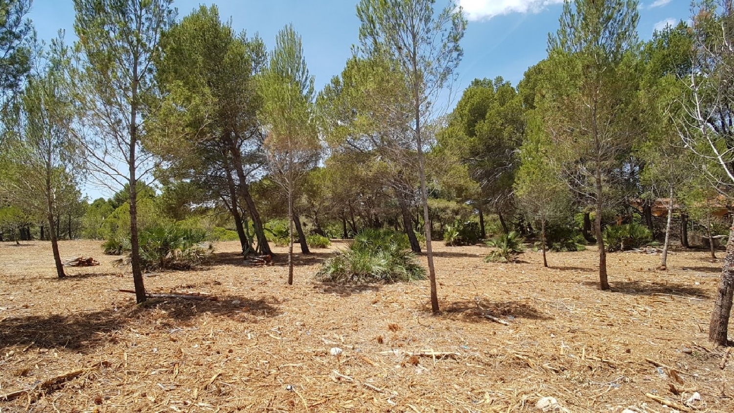  till salu tomt El Hidalgo Baix Ebre 5