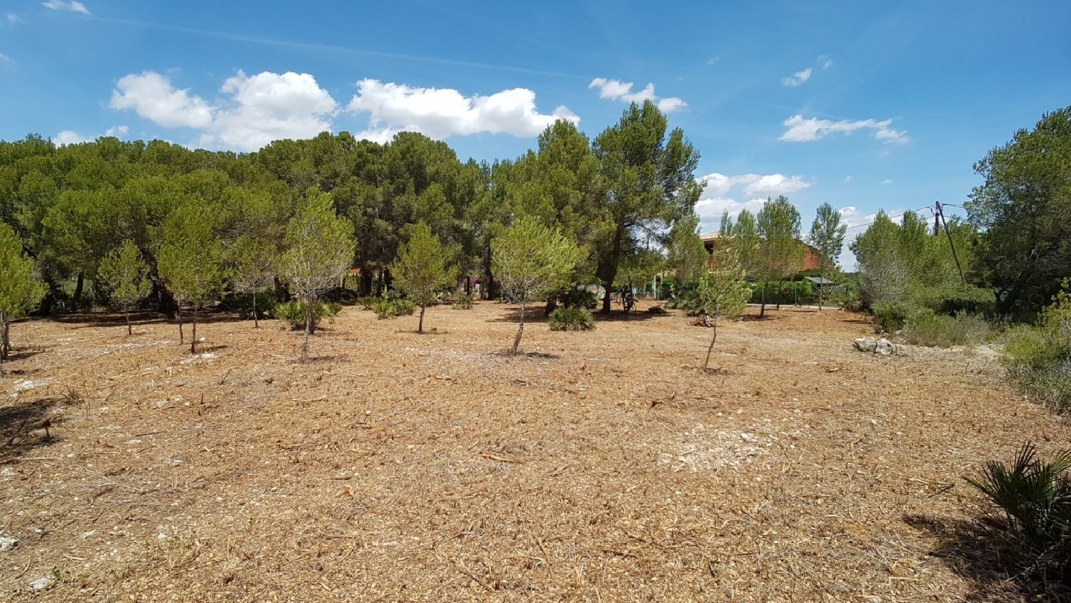 till salu tomt El Hidalgo Baix Ebre 2