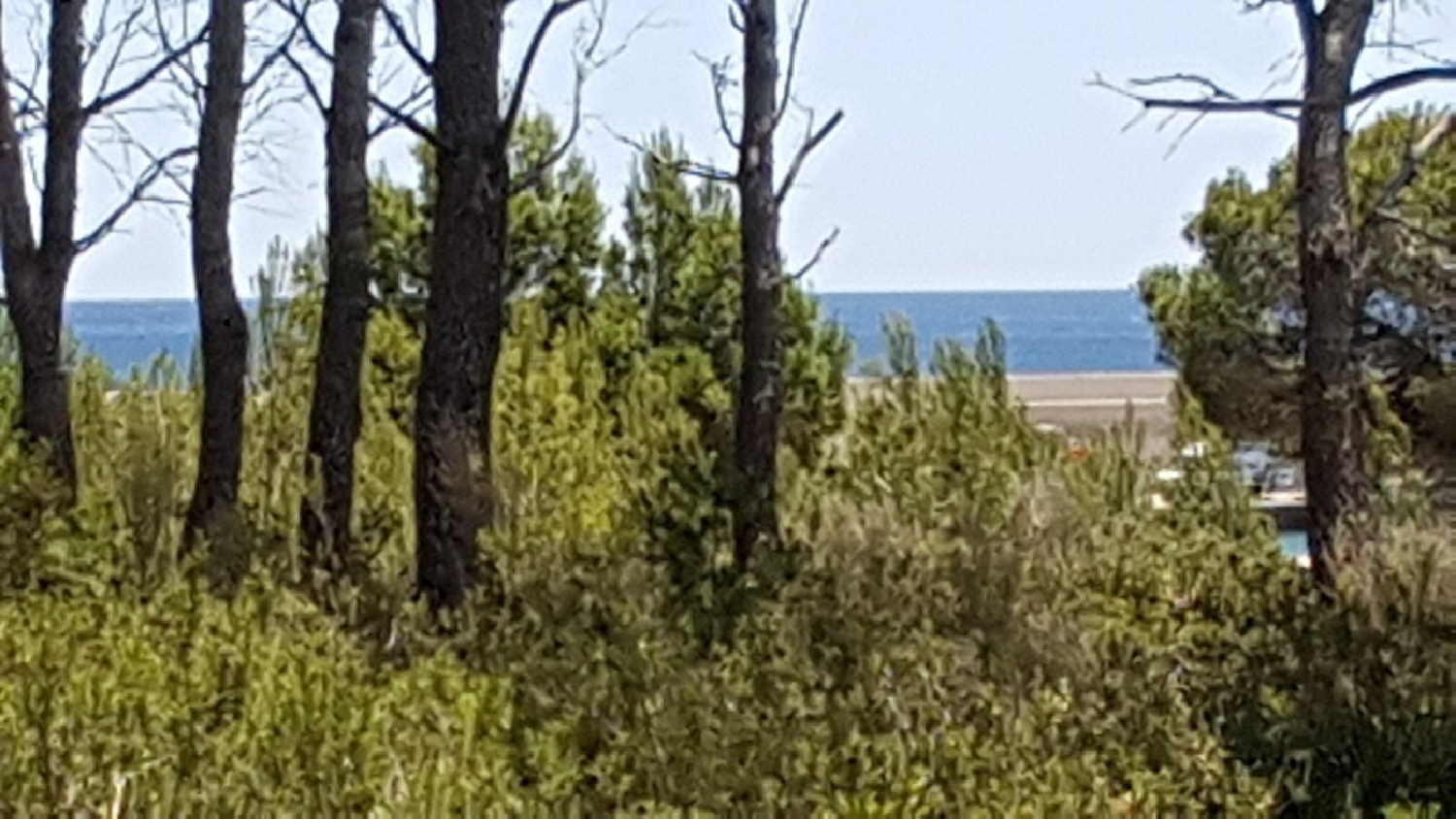  till salu tomt El Hidalgo Baix Ebre 1