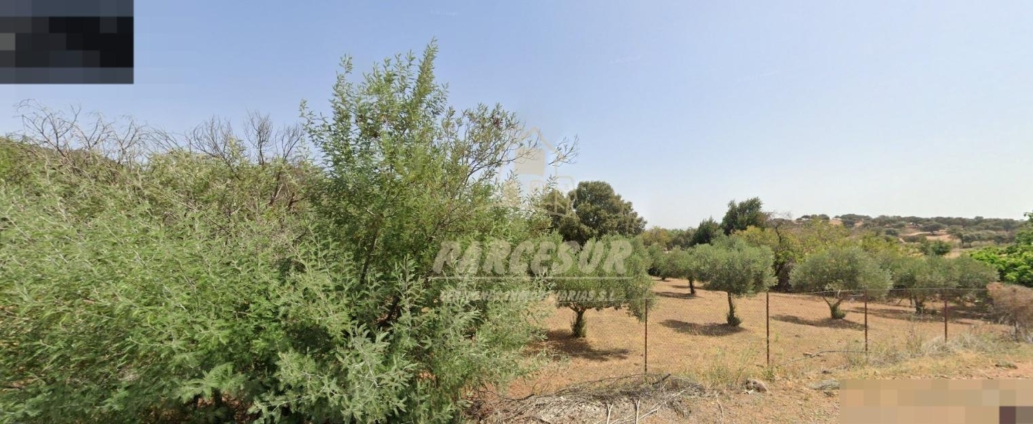  till salu tomt El Hoyo Valle Del Guadiato 4