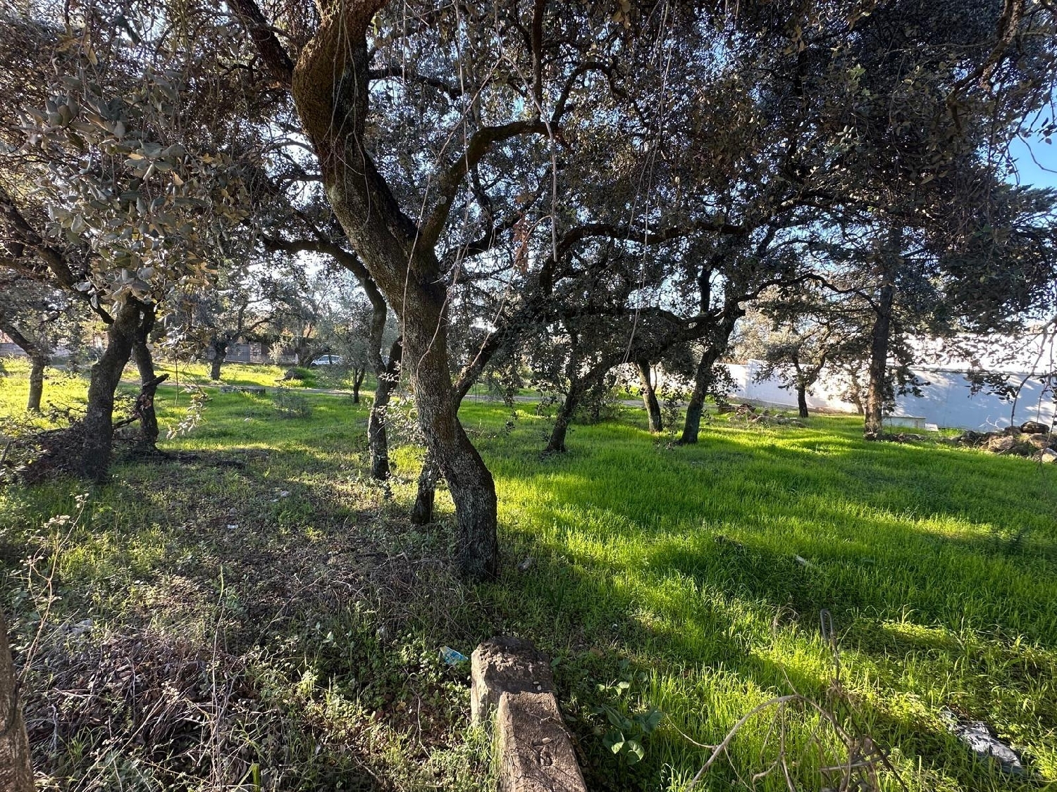  en venta terreno El Jardinito Córdoba 4