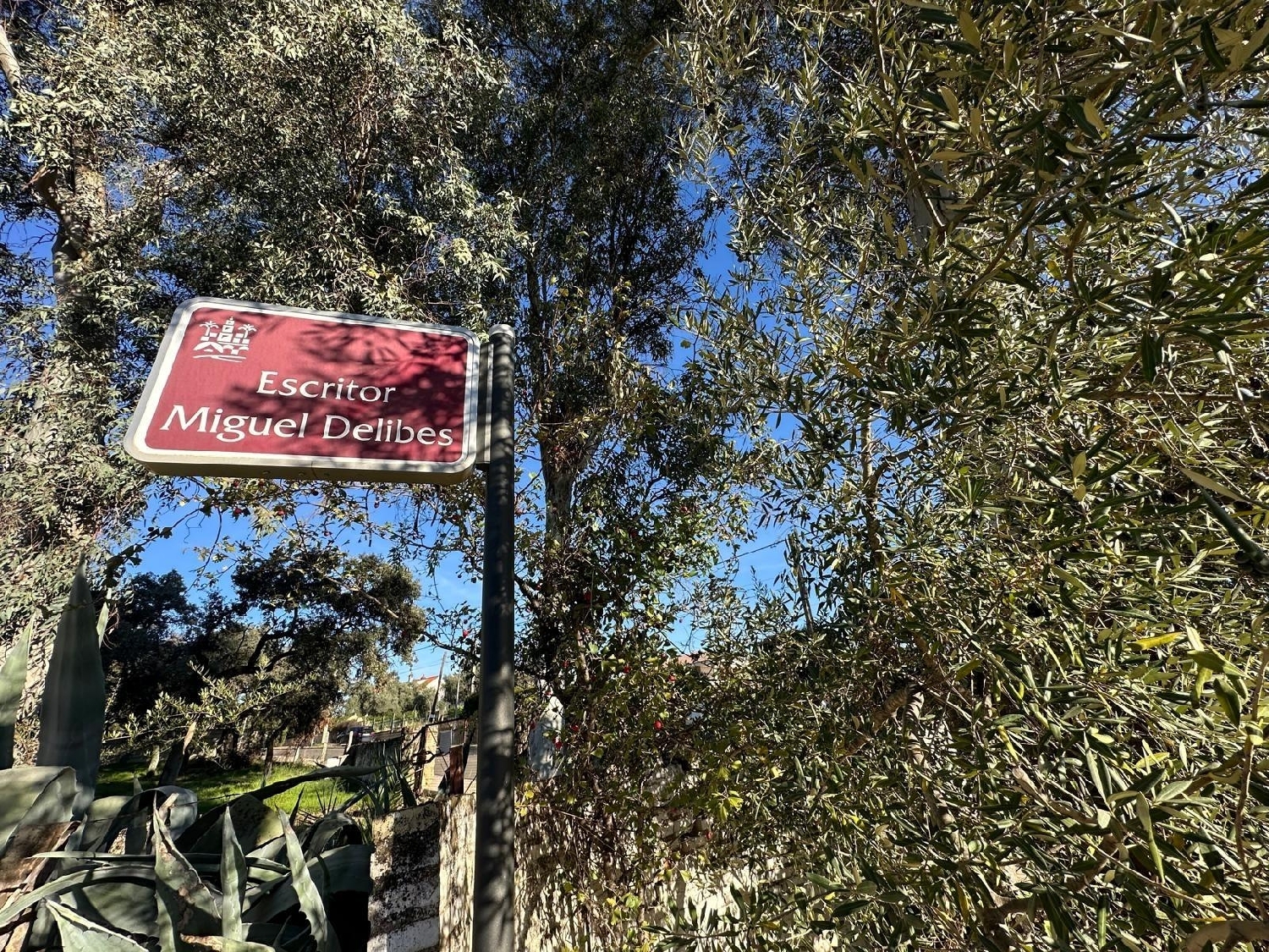 en venta terreno El Jardinito Córdoba 7