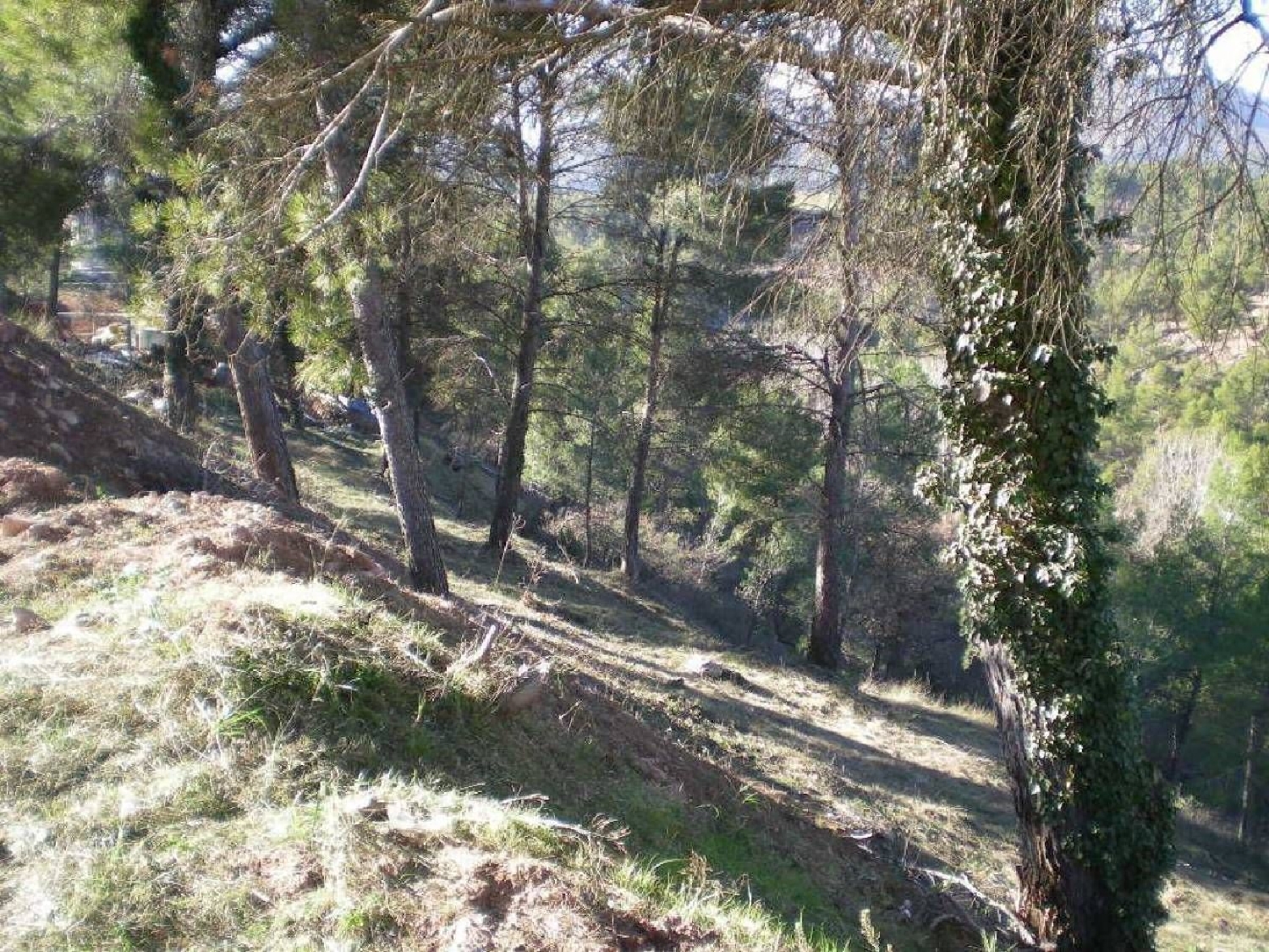  till salu tomt El Mirador De Montserrat Bages 7