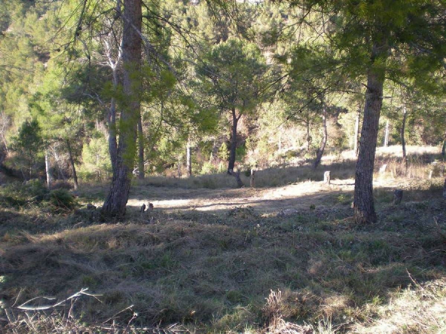  till salu tomt El Mirador De Montserrat Bages 6