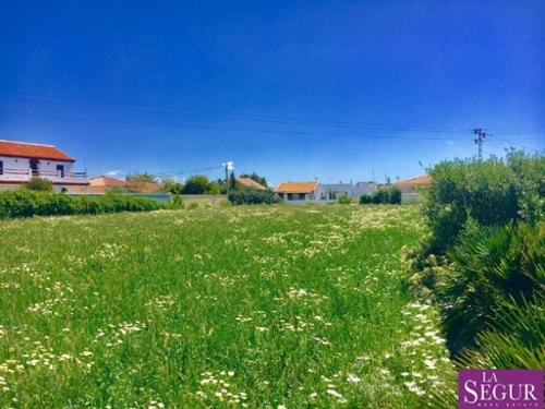 El Palmar Janda (La) tomt foto 6225965