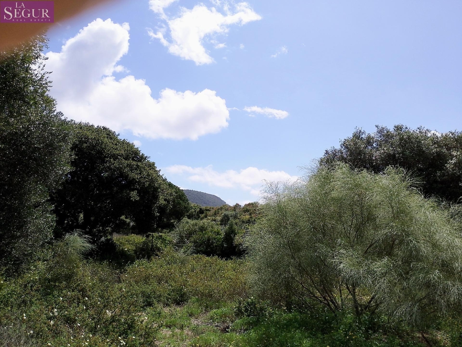 till salu tomt El Palmar Janda (La) 3