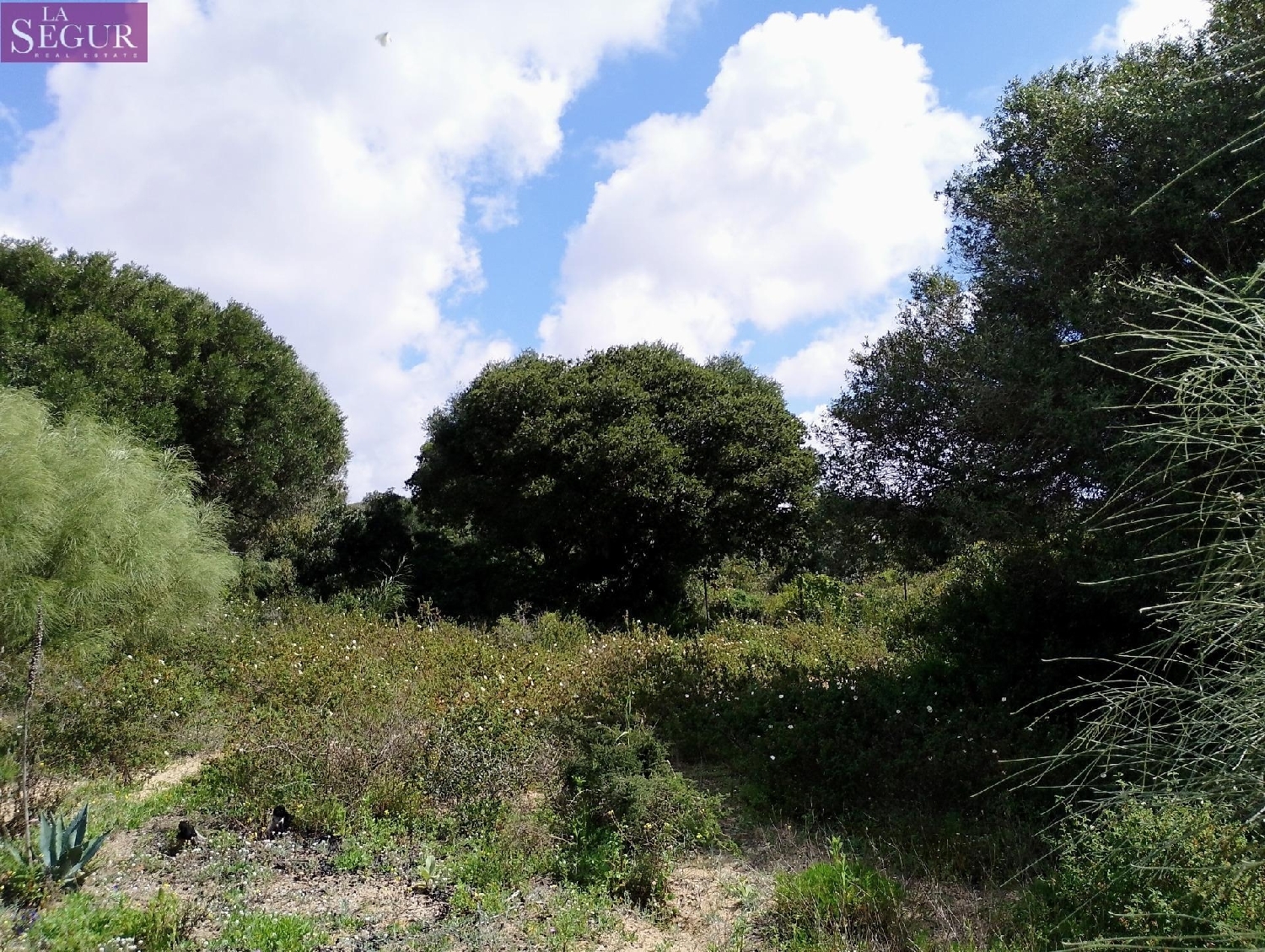  till salu tomt El Palmar Janda (La) 1