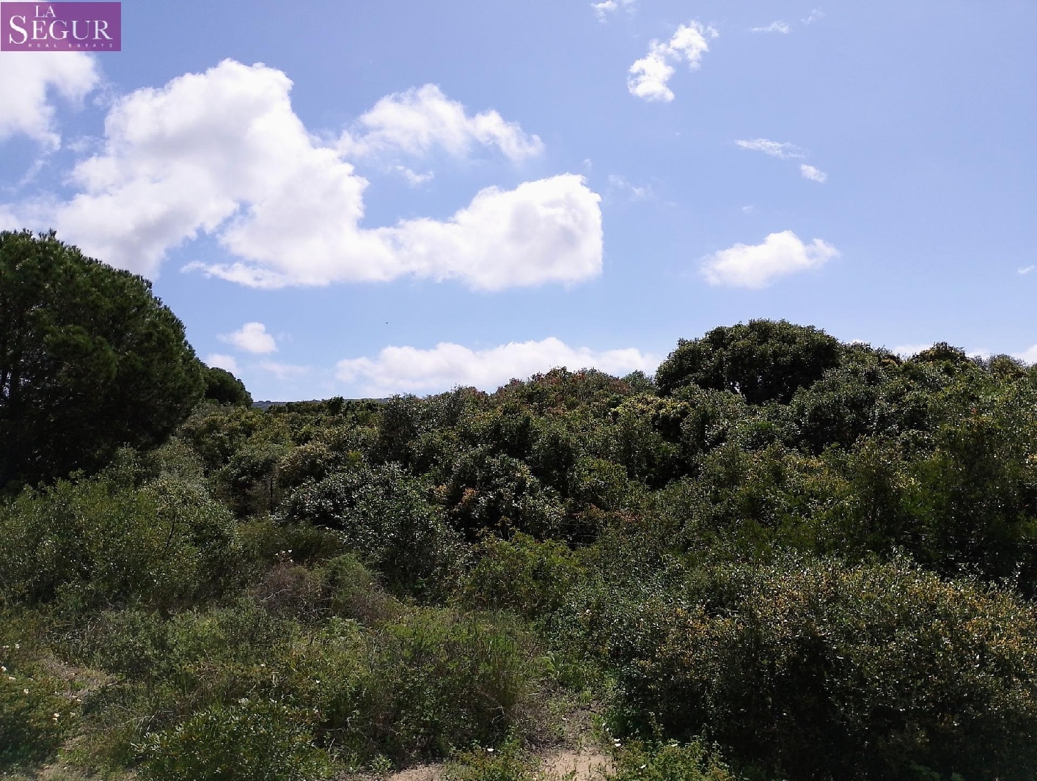  till salu tomt El Palmar Janda (La) 5