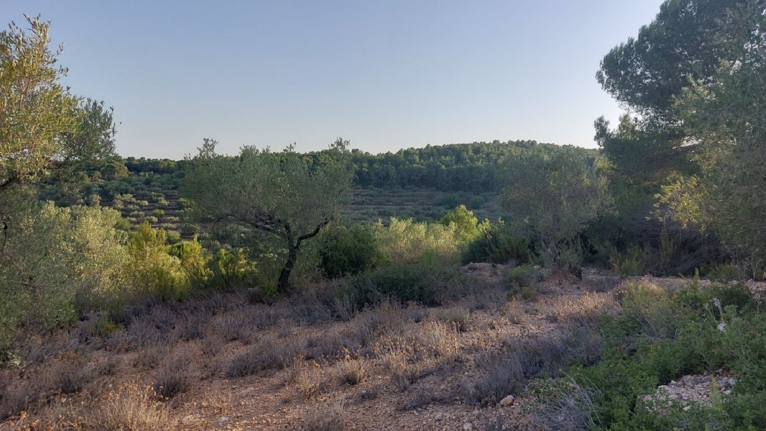 till salu tomt El Perelló Baix Ebre 3
