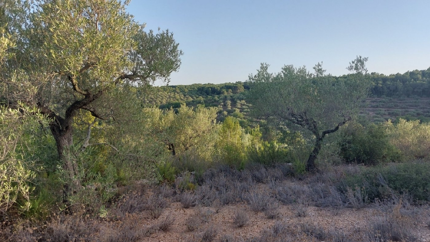  till salu tomt El Perelló Baix Ebre 8
