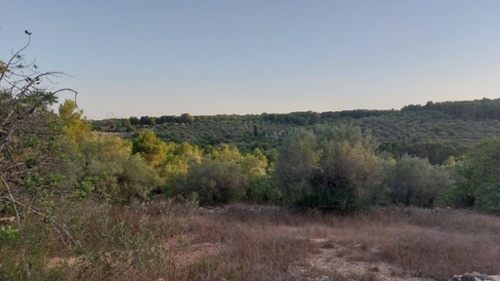 El Perelló Baix Ebre tomt foto 6257137