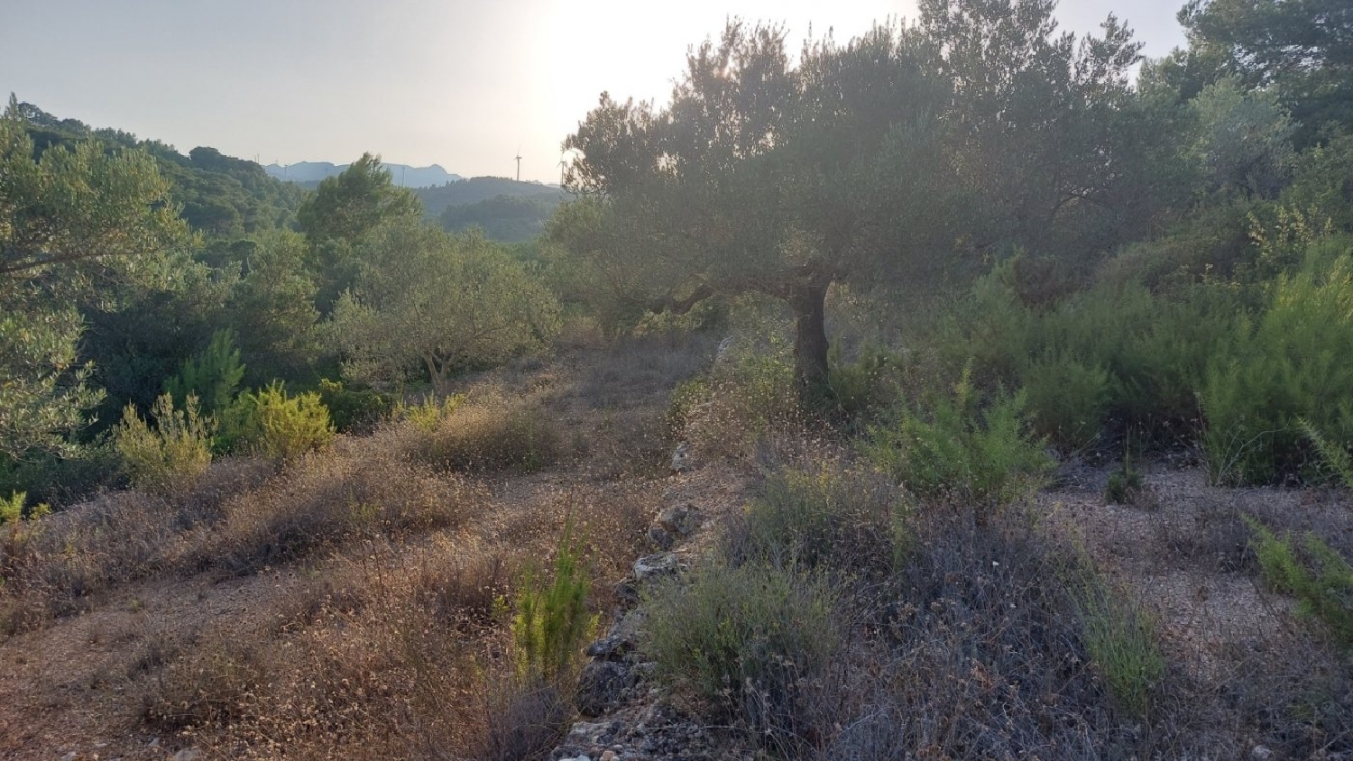  till salu tomt El Perelló Baix Ebre 4
