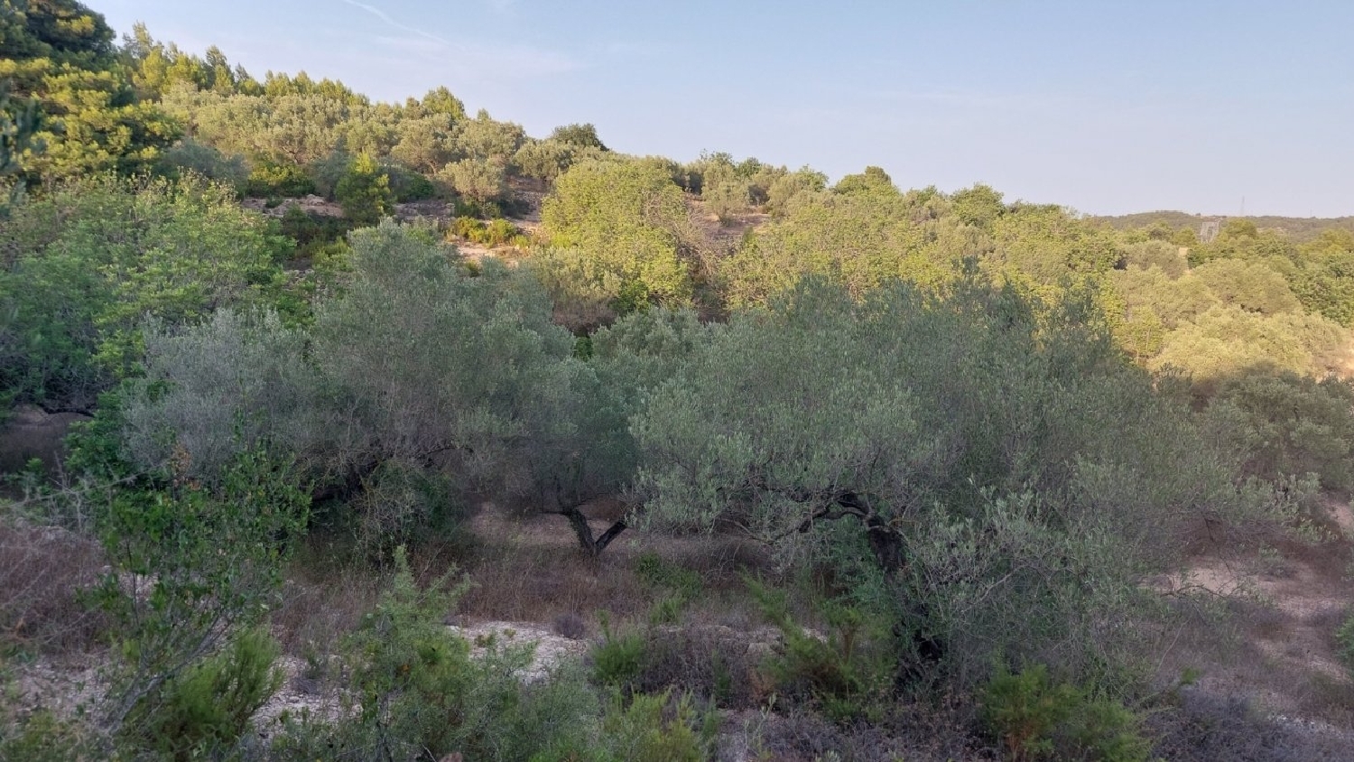  till salu tomt El Perelló Baix Ebre 6