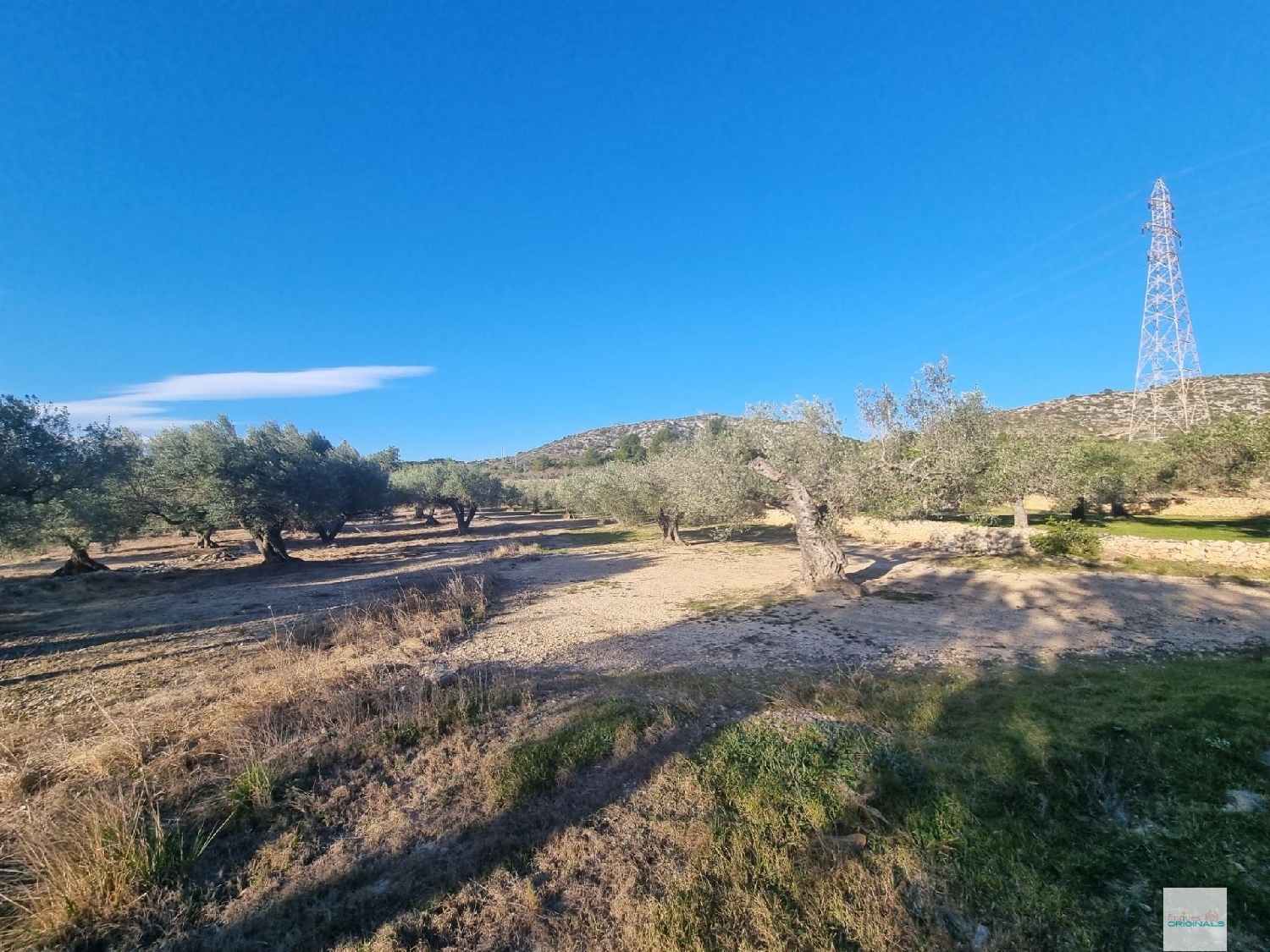  till salu tomt El Perelló Baix Ebre 5