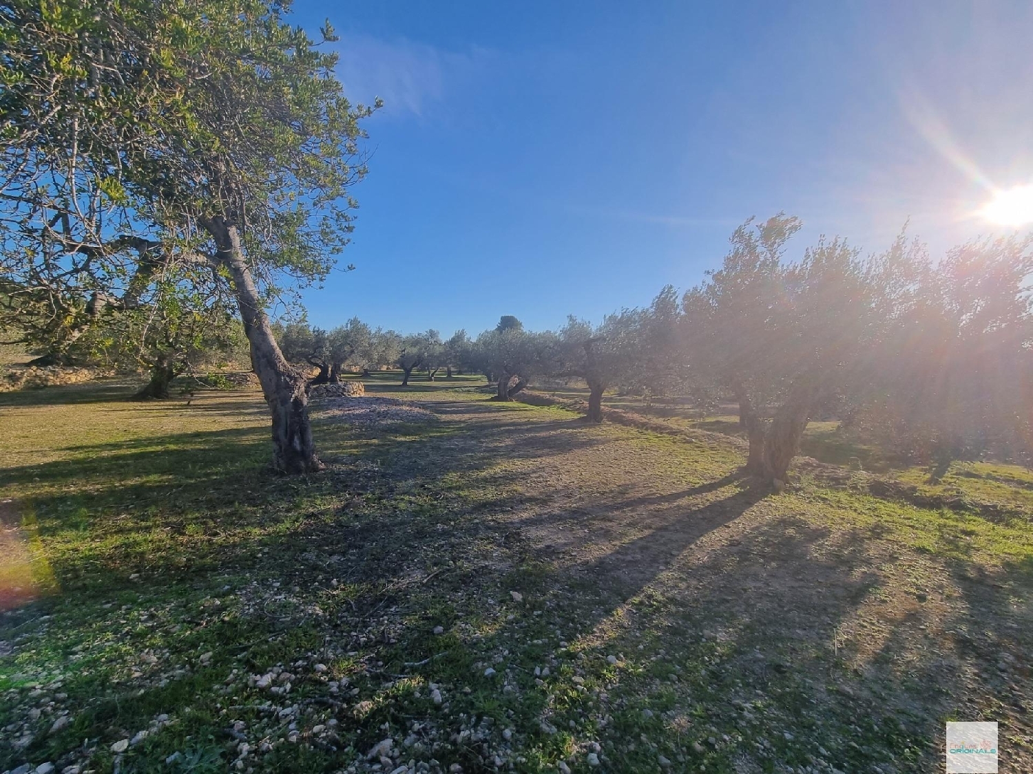 till salu tomt El Perelló Baix Ebre 3