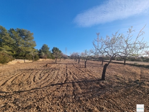 El Perelló Baix Ebre tomt foto 6257148