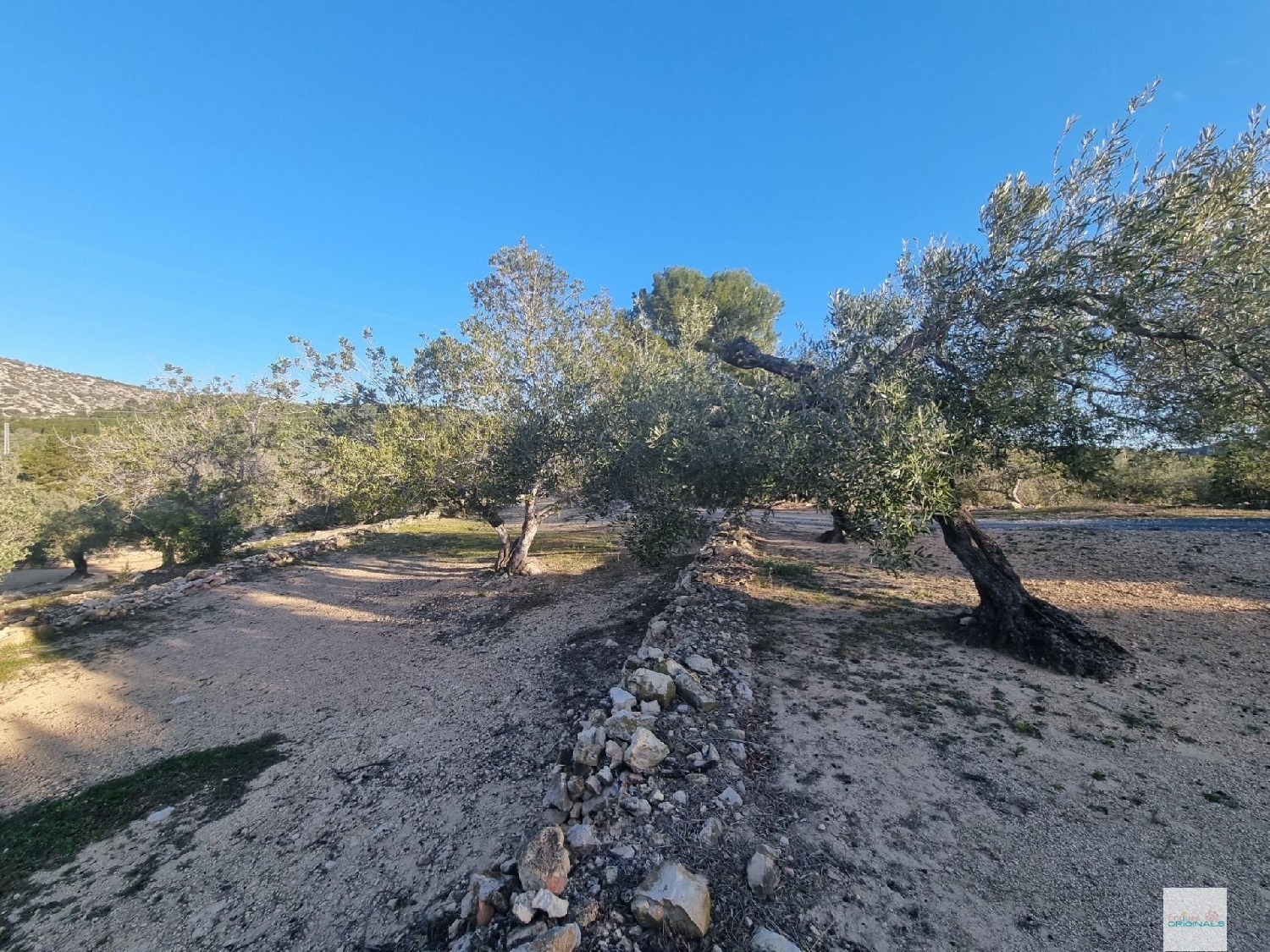  till salu tomt El Perelló Baix Ebre 4