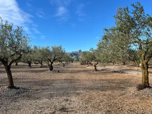 El Perelló Baix Ebre tomt foto 6214146