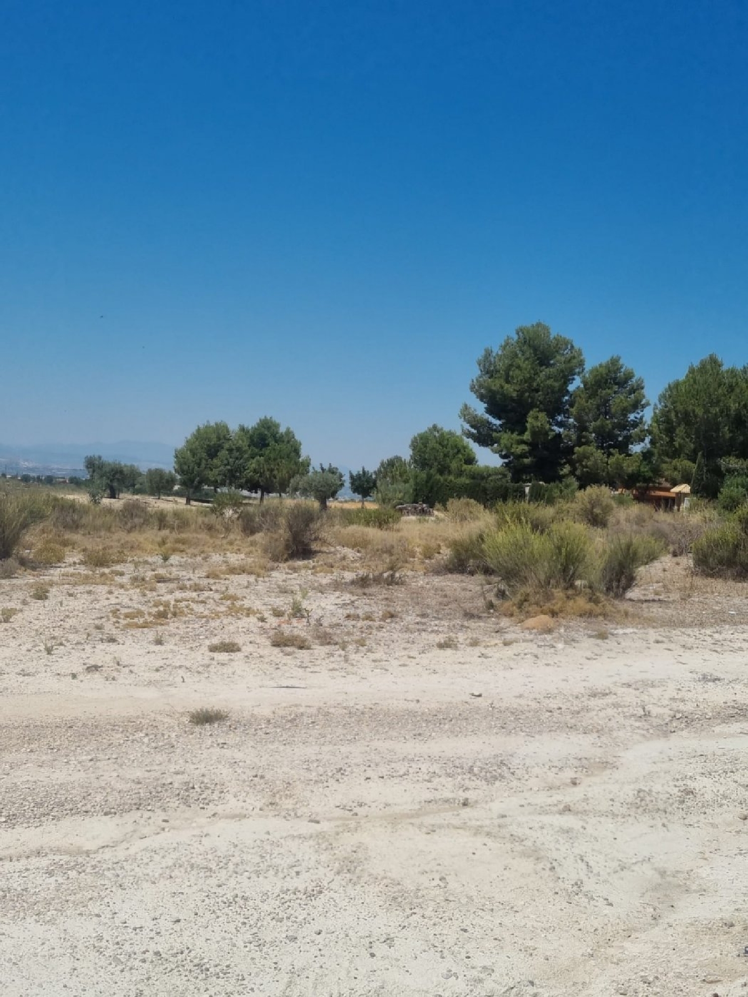  till salu tomt El Llano Vega Media Del Segura 5