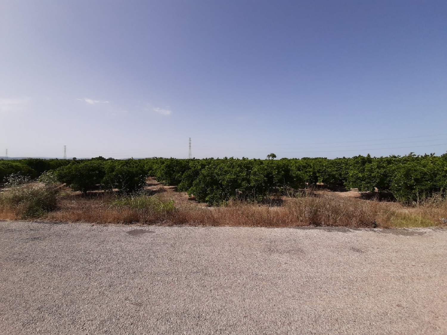 till salu tomt El Pla De Corbera Ribera Alta 2